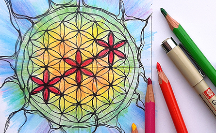 The Flower of Life NeuroMandala